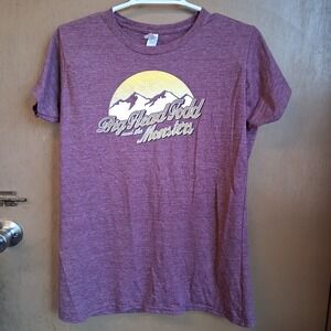 Big Head Todd and the Monsters Graphic Tee Purple Gildan Ladies 2XL Slim FIt